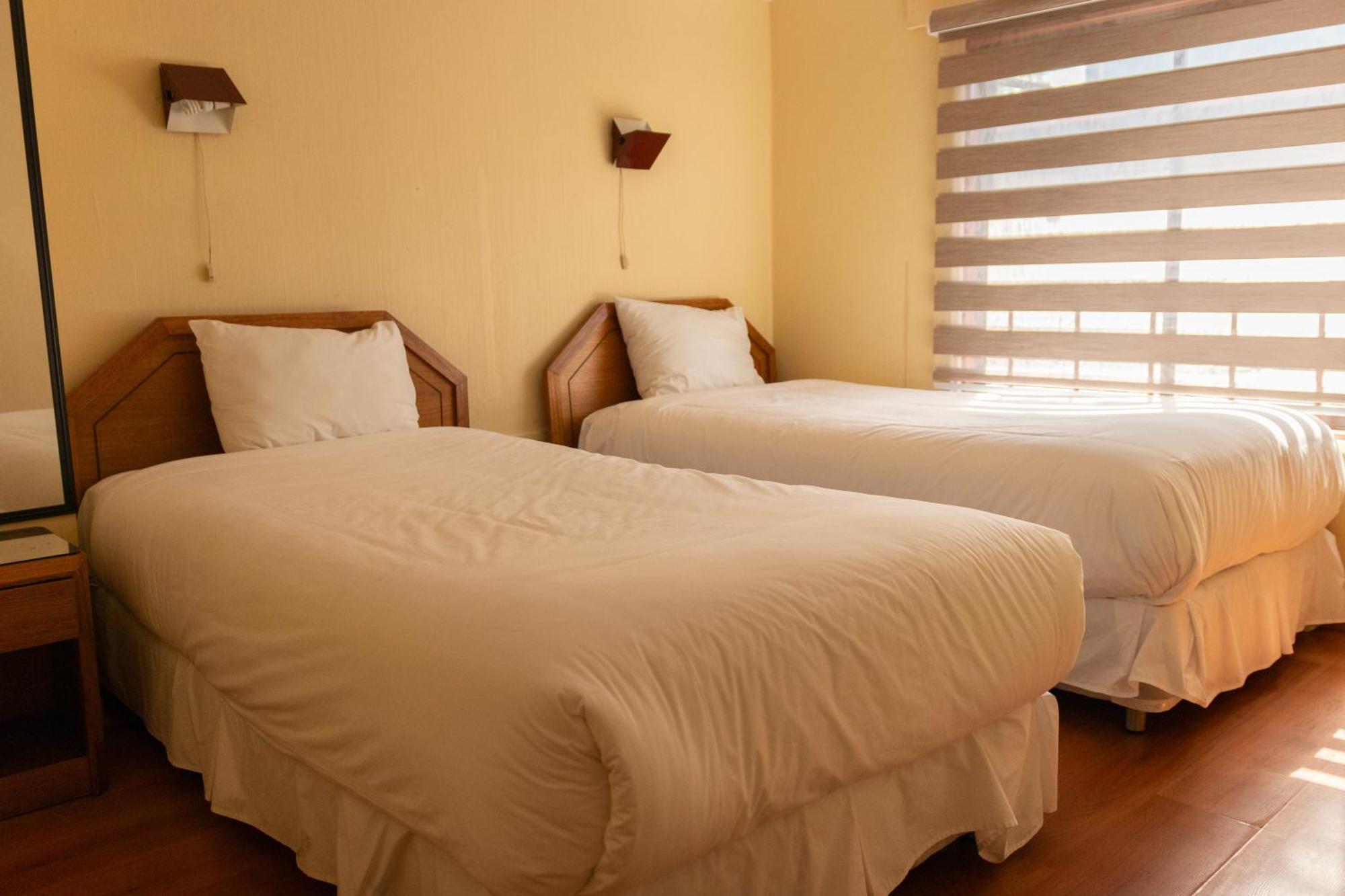 Hotel Di Torlaschi Valdivia Bagian luar foto